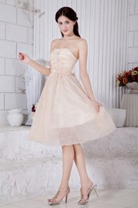 Appliques Accent Champagne Organza Quinceanera Dama Dresses 2014