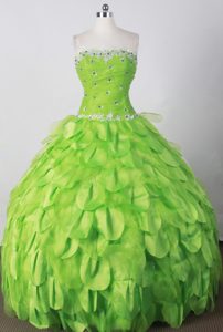 Petaloid Spring Green Beaded Ruching Sweet 15 Dress for Quinceanera