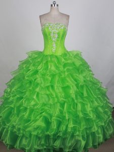 Spring Green Embroidery Organza Quinceanera Dresses with Ruffles