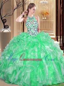 Dynamic Scoop Organza Sleeveless Floor Length Sweet 16 Dress and Embroidery and Ruffles