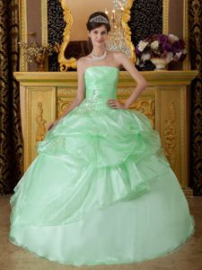 Appliqued and Ruched Strapless Quinceanera Dresses in Apple Green