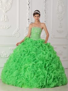 Beading and Rolling Flowers Accent Green Strapless Quince Gowns