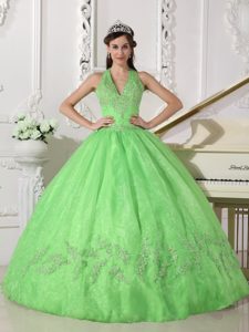 Spring Green Halter Lace-up Dresses 15 with Appliques Floor Length