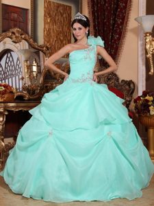 Ruffles and Appliques Accent One Shoulder Mint Colored Dresses 15