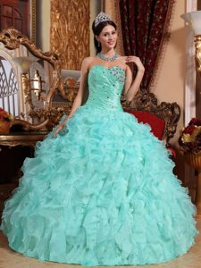 Beaded and Ruffled OrganzA Quinceanera Gown Dress of Floor Length