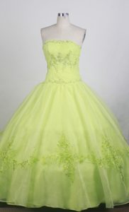 Green Floral Appliques Strapless Quinceanera Dress in Mendoza