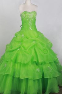 Silver Beaded Appliques 2013 Quincenera Dresses in Spring Green
