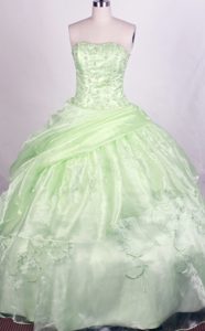 Light Green Dresses For A Quinceanera Embellished Heavy Appliques