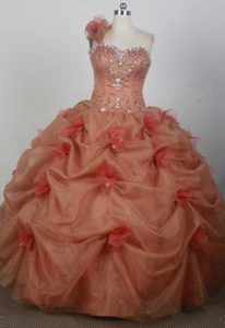 Single-shoulder with Hand Flower 2013 Quinceanera Gown