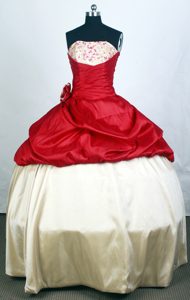 Two-toned 2013 Popular Quinceanera Gown with Hand Flower