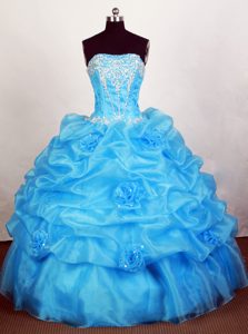 Corset Bodice 2013 Hand Flowers and Pick ups Quinceanera Gown