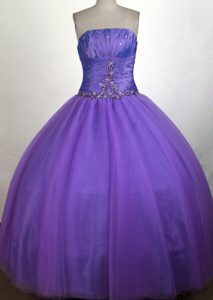 Simple Ruched Bodice 2013 Purple Quinceanera Gown in Alaska