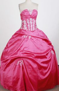 Ruched Bust Hot Pink with Appliques 2013 Sweet 16 Dress