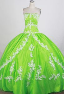 Gorgeous Strapless Spring Green Quinceanera Gown Appliqued
