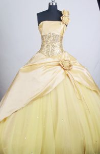 Hand Flower Decorate One-shoulder Quinceanera Gown in Georgia