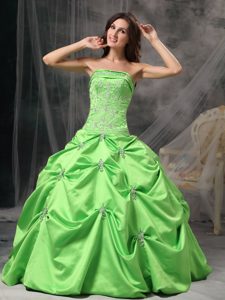 Appliques and Pick ups Accent Sweet Sixteen Dress in Spring Green