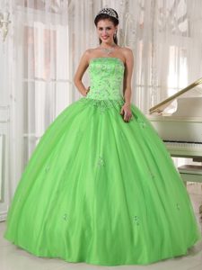 Monterrey Mexico Applique Spring Green Tulle Sweet 15 Dresses