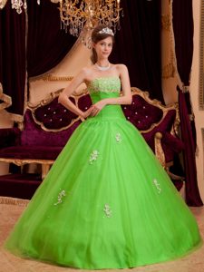 Appliqued Strapless Quinceanera Dress in Spring Green for Cheap