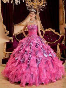 Ruffled and Beaded Hot Pink Quinceanera Gown Dresses Leopard Print