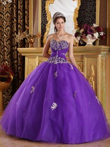 Guadalajara Mexico Appliqued Purple Tulle Quinceanera Gown Dress