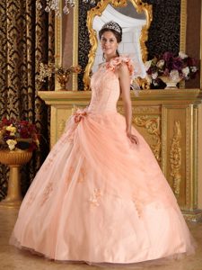 Flowery One Shoulder Appliqued Quinceanera Dresses in Peach Color