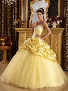 Yellow Beaded Taffeta and Tulle Quinceanera Dresses in Belfast