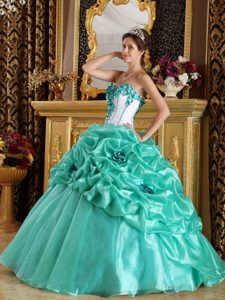 Apple Green Dress For Quinceanera with Hand-made Flowers in Bath