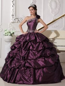 Dark Purple One Shoulder Taffeta Appliques Quince Dress in Auckland